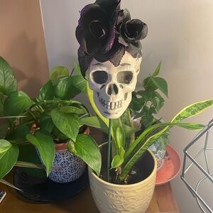 SKULL ( hard plastic) with stake for Plant ( Halloween) Decor